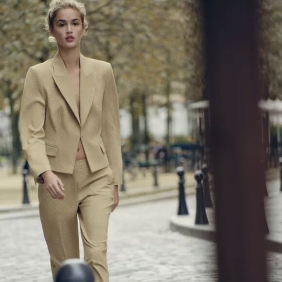 BNWT ZARA Beige Gold Sparkle Blazer – Size L – New with Tags - Picture 1 of 4